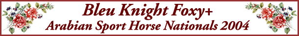 Banner Bleu Knight Foxy Sport Horse Nationals