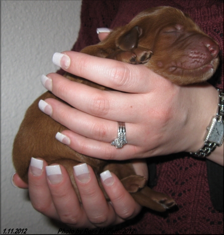 1 day old ~ January 11, 2012