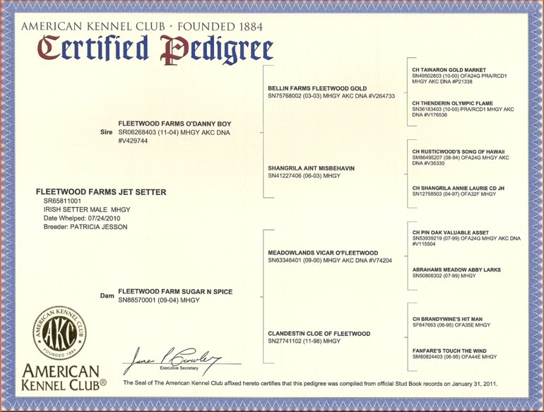 AKC Registration Certificate