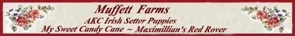 Sales List Banner