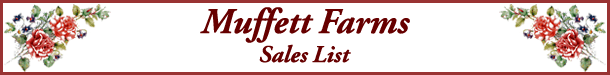 Sales List Banner