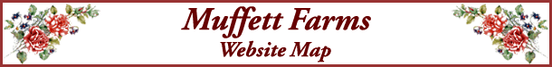Banner Website Map
