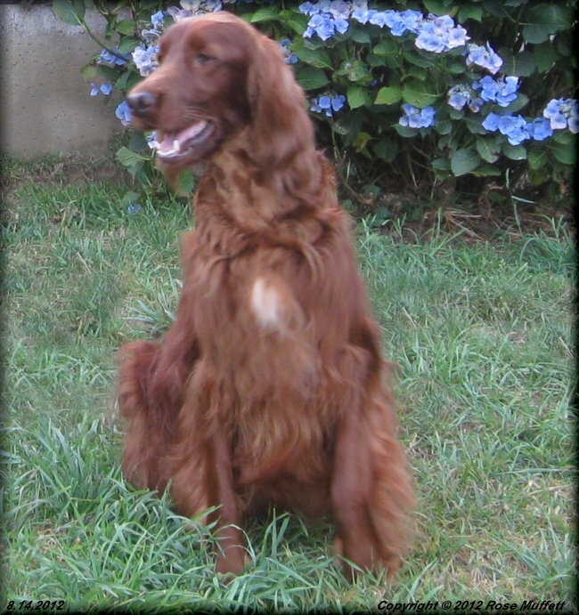 Fleetwood Farms Ginger Snap August 14, 2012