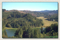 Click to view larger image of one of our meadows (77882 bytes)