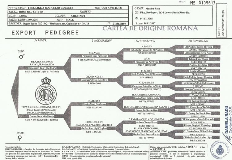 Export FCI Pedigree