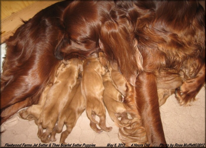 Scroll Down For More Pictures ~ May 5, 2012